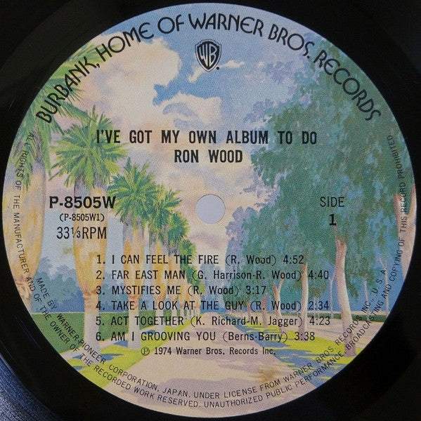 I've Got My Own Album To Do