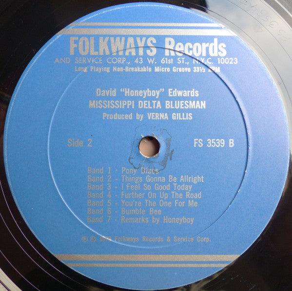 Mississippi Delta Bluesman