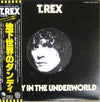 T. Rex - Dandy In The Underworld (Vinyl, LP, Album) Very Good Plus (VG+) / Very Good Plus (VG+)