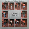 The Voices Of East Harlem - Can You Feel It (LP, Album, Limited Edition, Reissue) - Very Good Plus (VG+) / Very Good Plus (VG+)