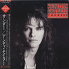 Andy Taylor - Thunder (Vinyl, LP, Album) Very Good Plus (VG+) / Very Good (VG)