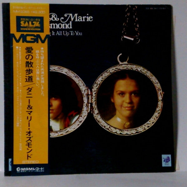 I'm Leaving It All Up To You