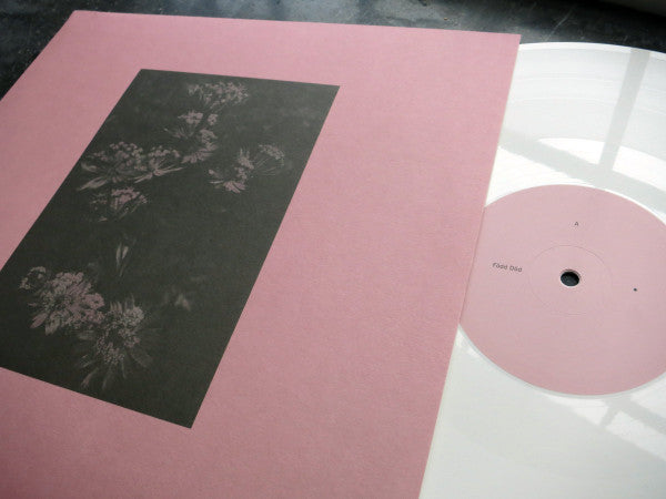 Studie I Närhet, Längtan Och Besvikelse