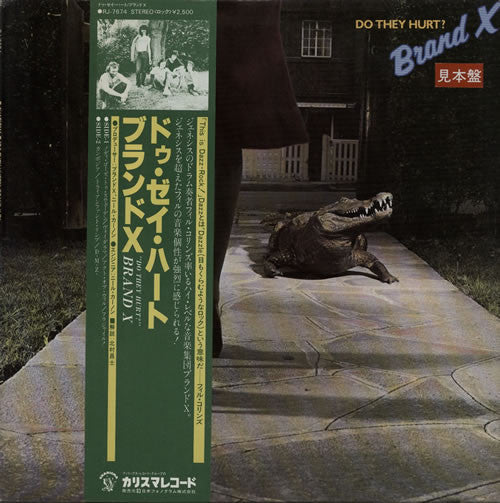 Master Release: Do They Hurt? by Brand X (3)