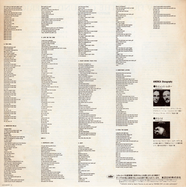 View From The Ground