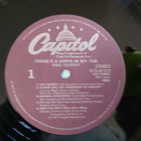 There's A Hippo In My Tub