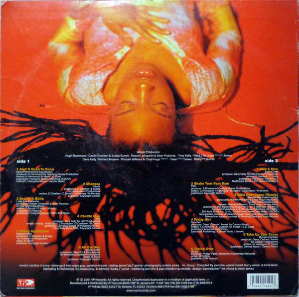 Master Release: Reggae Gold 2001 by Various