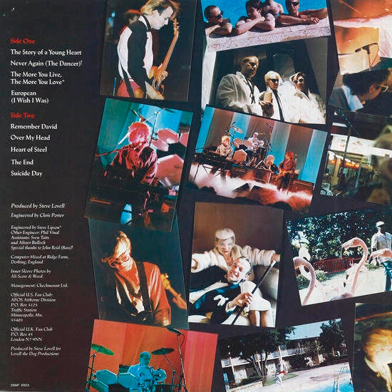 The Story Of A Young Heart