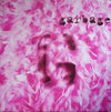 Garbage - Garbage (2xLP, Album) - Very Good (VG) / Very Good Plus (VG+)