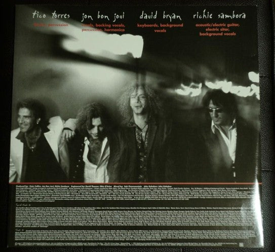 Master Release: These Days by Bon Jovi