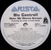 Blu Cantrell - Make Me Wanna Scream (Vinyl, 12