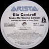 Blu Cantrell - Make Me Wanna Scream (12