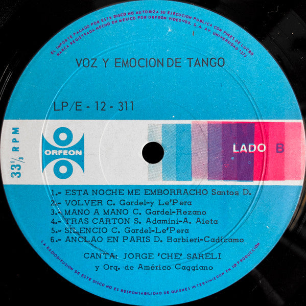 Voz Y Emocion De Tango