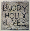 Buddy Holly - 20 Golden Greats (Vinyl, LP, Compilation) Good Plus (G+) / Good Plus (G+)