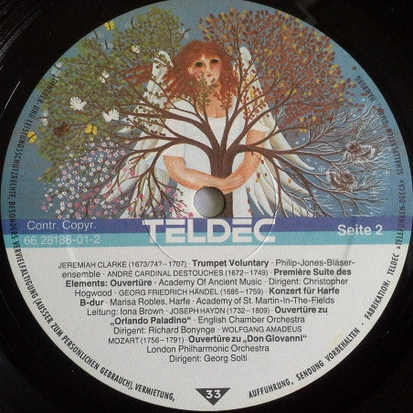 Baum Der Jahreszeiten