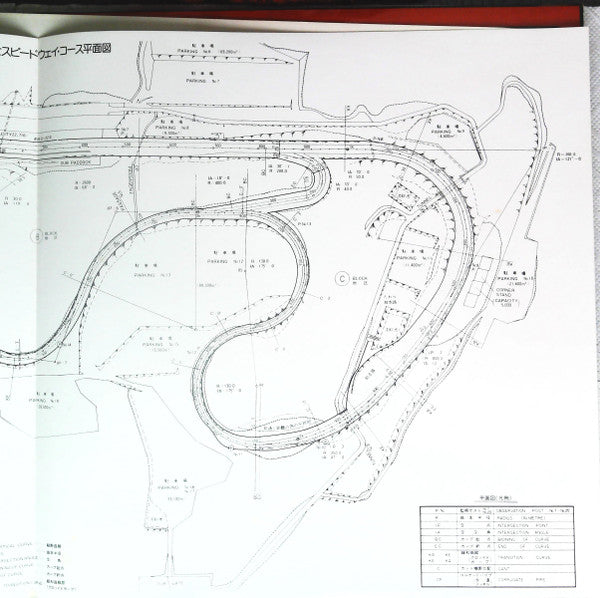 F-1 Japan Grand Prix '77