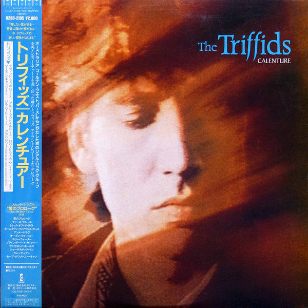 Master Release: Calenture by The Triffids