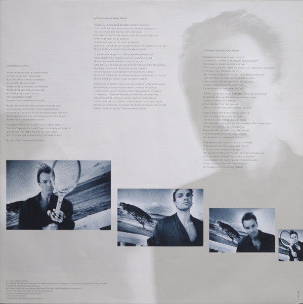 The Dream Of The Blue Turtles