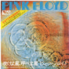 Pink Floyd - One Of These Days  = 吹けよ風、呼べよ嵐 (7