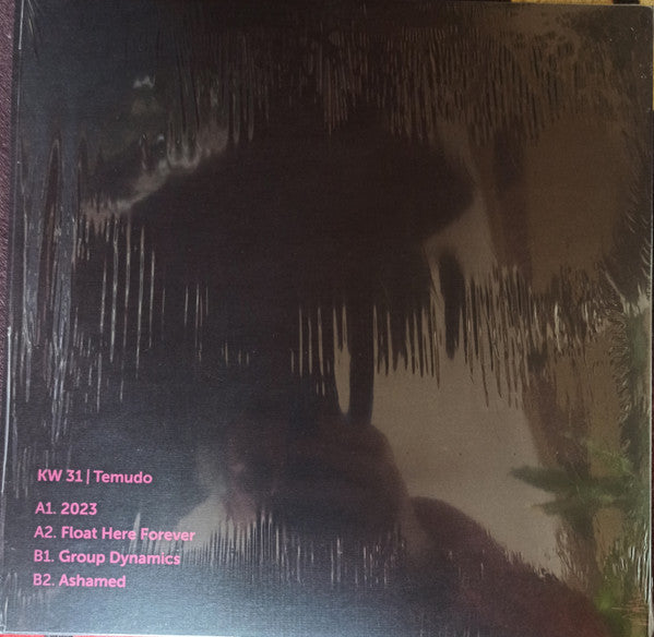 Release: Klockworks 31-Vinyl-Germany-2021-KW 31-17455834