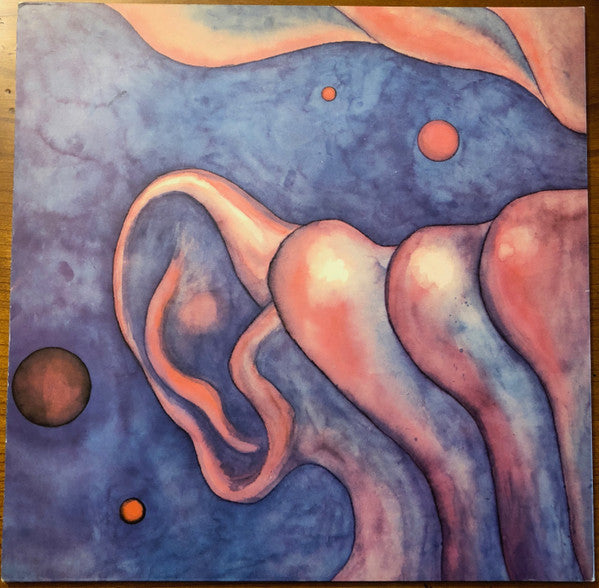 In The Court Of The Crimson King (An Observation By King Crimson)