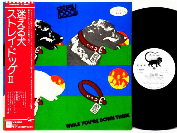 Release: While You're Down There-Vinyl-Japan-1974-P-8560M-10201184