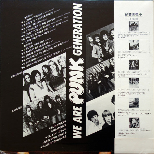 We Are Punk Generation