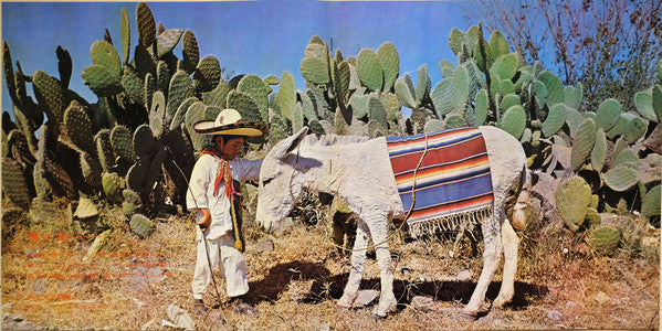 Mood In Latin 1 = ムードインラテン・1