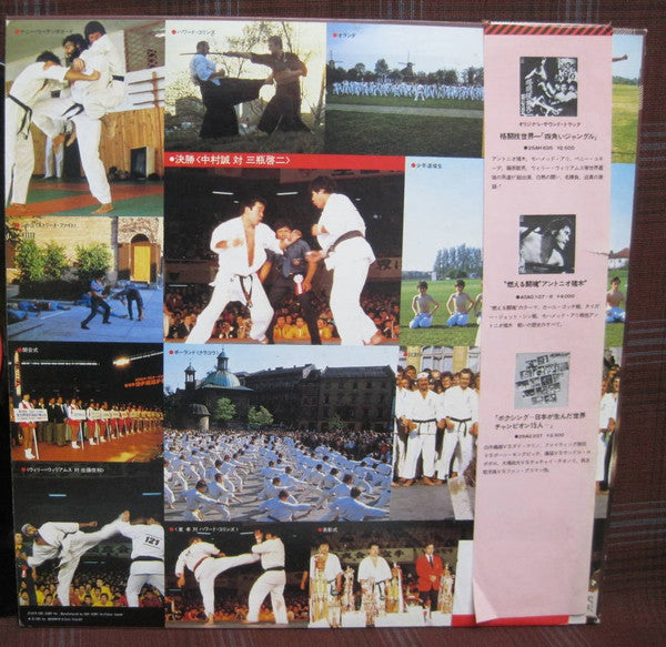 最強最後のカラテ