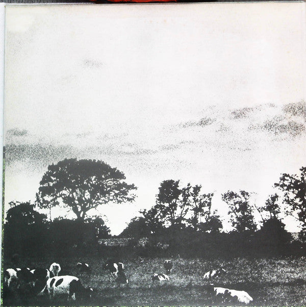 Atom Heart Mother = 原子心母