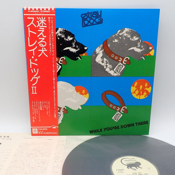 Release: While You're Down There-Vinyl-Japan-1974-P-8560M-30497851