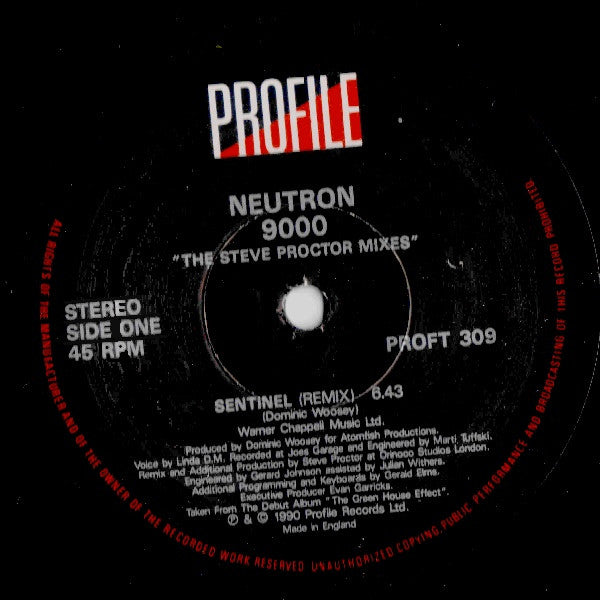 Sentinel (The Steve Proctor Mixes)
