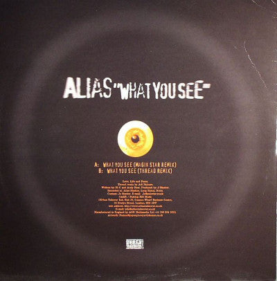 Master Release: What You See by Alias (14)
